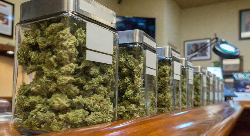 Cannabis Feature Image