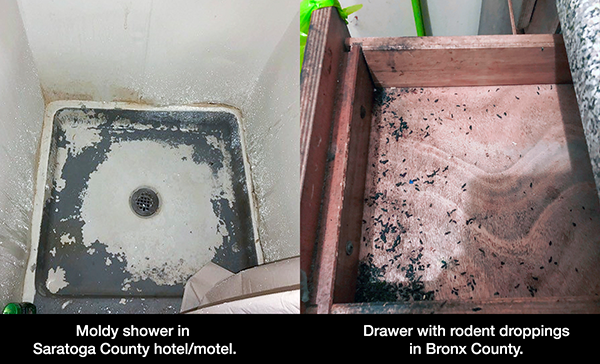 Photos of moldy shower and drawer with rodent droppings