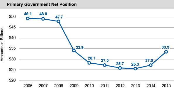 Primary Government Net Position