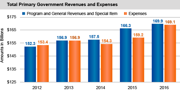 Total Primary Government Revenues and Expenses