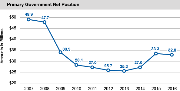 Primary Government Net Position