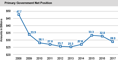 Primary Government Net Position