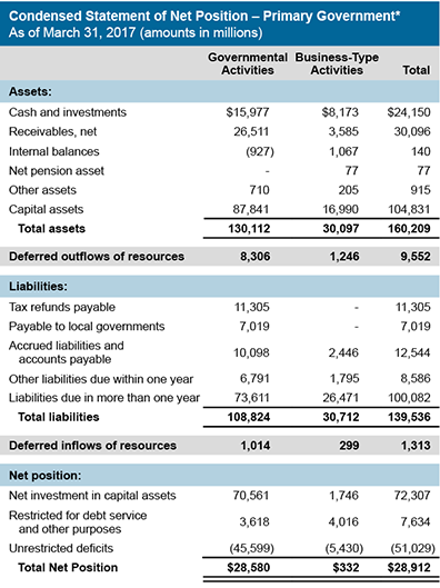 Condensed Statement of Net Position - Primary Government