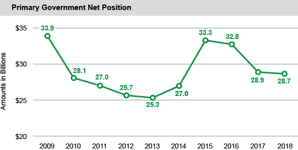 Primary Government Net Position