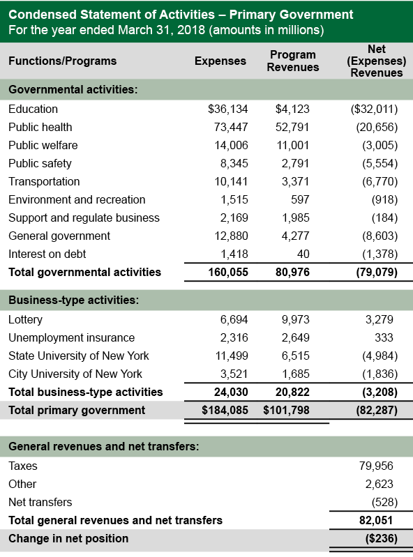 Condensed Statement of Activities - Primary Government