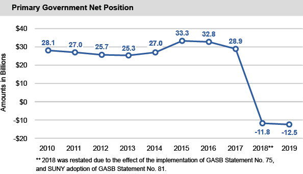 Primary Government Net Position