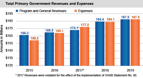 Total Primary Government Revenues and Expenses