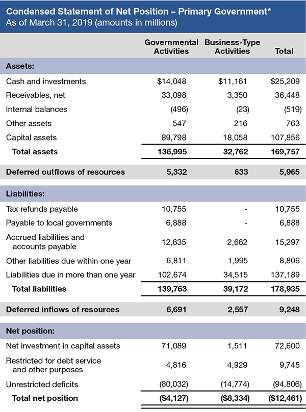 Condensed Statement of Net Position - Primary Government