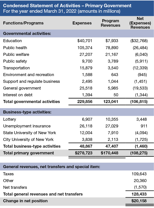 Table of Condensed Statement of Activities - Primary Government