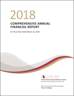 2018 Comprehensive Annual Financial Report Cover