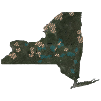 Map of New York State monitoring of honey bees.