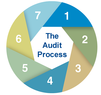 A flywheel that has a number assigned to each section going in a clockwise direction. The caption, The Audit Process, is in the center.