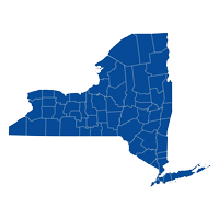 A map of NYC’s language access service needs.