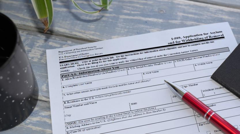 Application for seeking asylum in NY