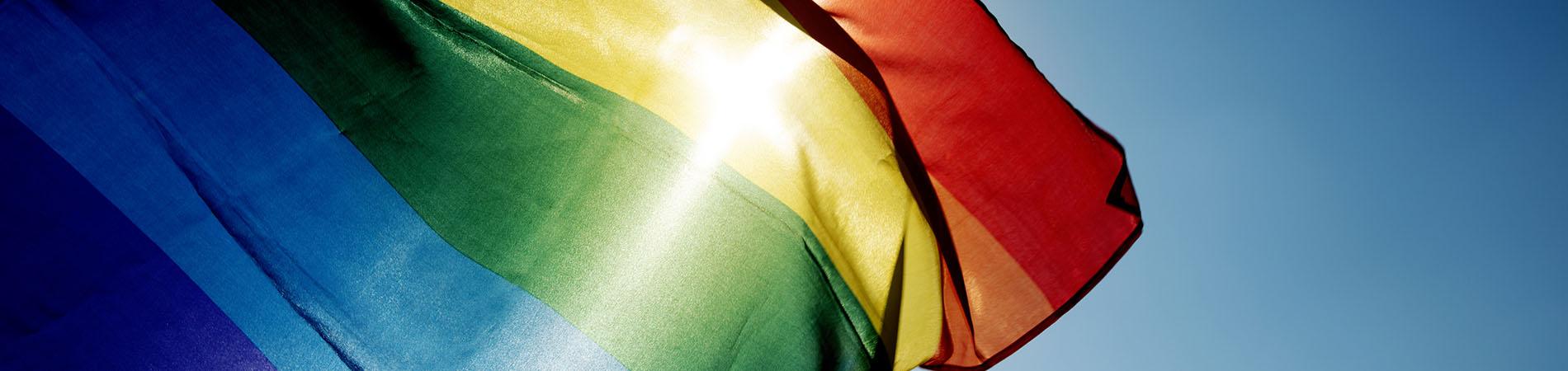 A rainbow flag blowing in the breeze.