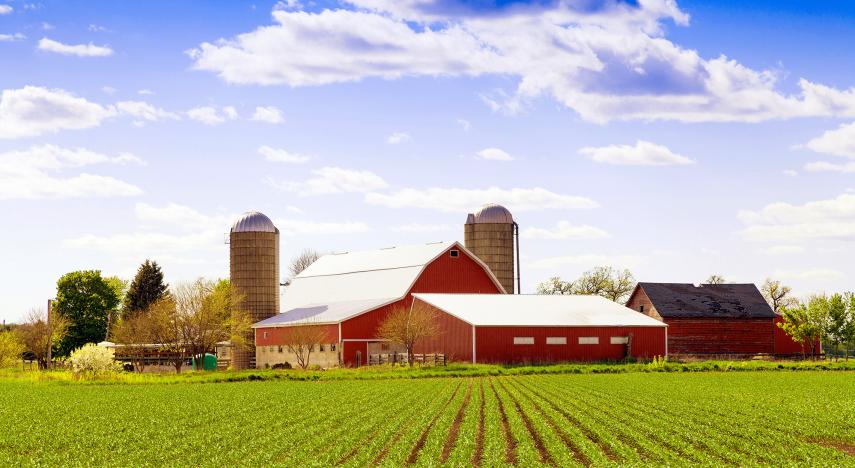 rows of farm crops in the foreground and a red barn in the background